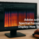 Adobe Audition Spectral Frequency Display: How To Use It