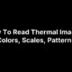 How To Read Thermal Images: Colors, Scales, Patterns