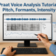 Praat Voice Analysis Tutorial: Pitch, Formants, Intensity