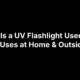 What Is a UV Flashlight Used For? 6 Uses at Home & Outside