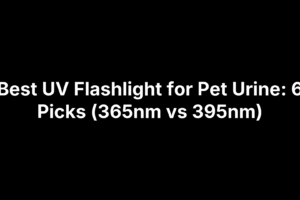 Best UV Flashlight for Pet Urine: 6 Picks (365nm vs 395nm)