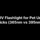 Best UV Flashlight for Pet Urine: 6 Picks (365nm vs 395nm)