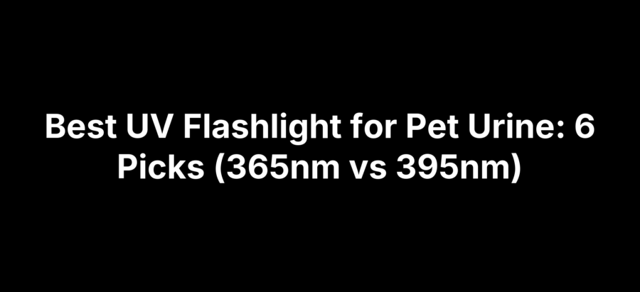 Best UV Flashlight for Pet Urine: 6 Picks (365nm vs 395nm)