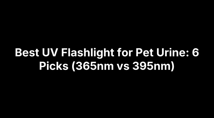 Best UV Flashlight for Pet Urine: 6 Picks (365nm vs 395nm)