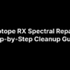iZotope RX Spectral Repair: Step-by-Step Cleanup Guide