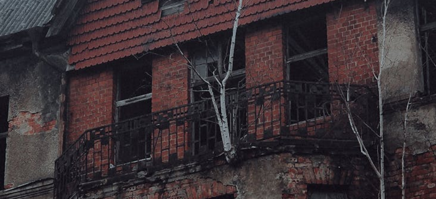trees growing from the facade of a ruined building