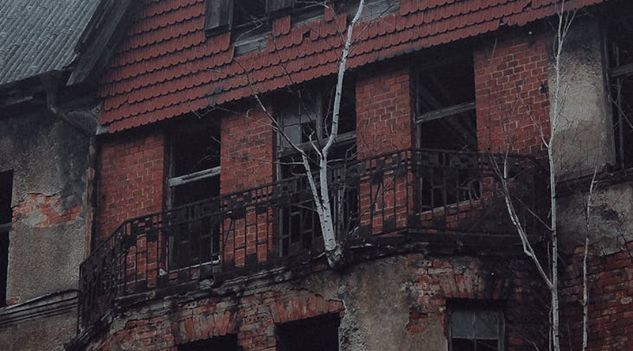 trees growing from the facade of a ruined building