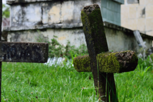 Moss-covered stone crosses in a historic cemetery with weathered tombstones