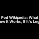 REM Pod Wikipedia: What It Is, How It Works, If It’s Legit