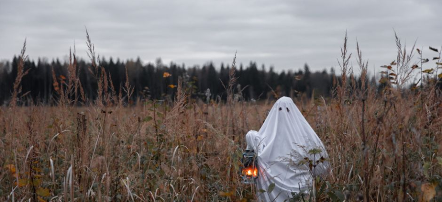 Ghost Equipment Near Me: Your 2026 Guide