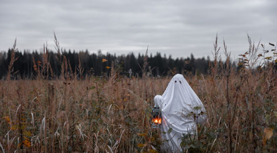 Ghost Equipment Near Me: Your 2026 Guide