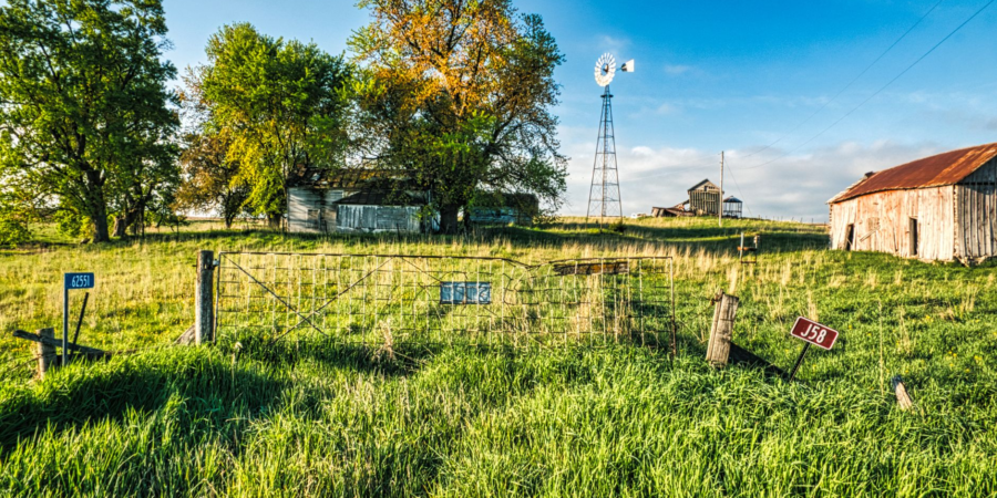 view of a grass field with trees