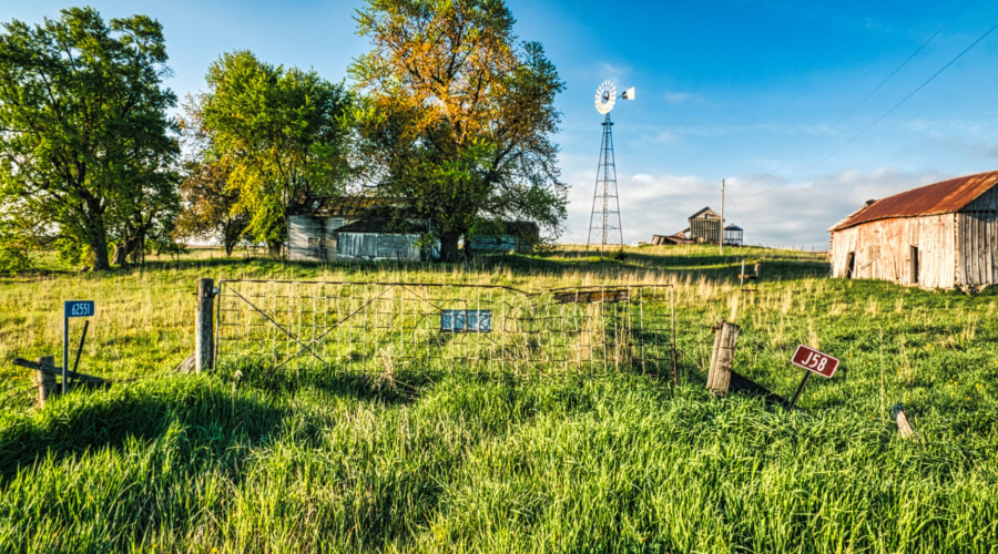 Lush rural pasture with wildflowers, fence, trees, windmill, and rustic barn under a bright blue sky