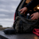Prevent a Dead EMF Meter: Ghost Gear Maintenance for Investigators