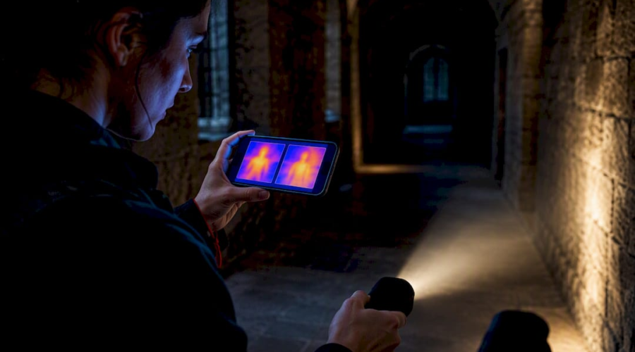 Investigator comparing thermal imaging views